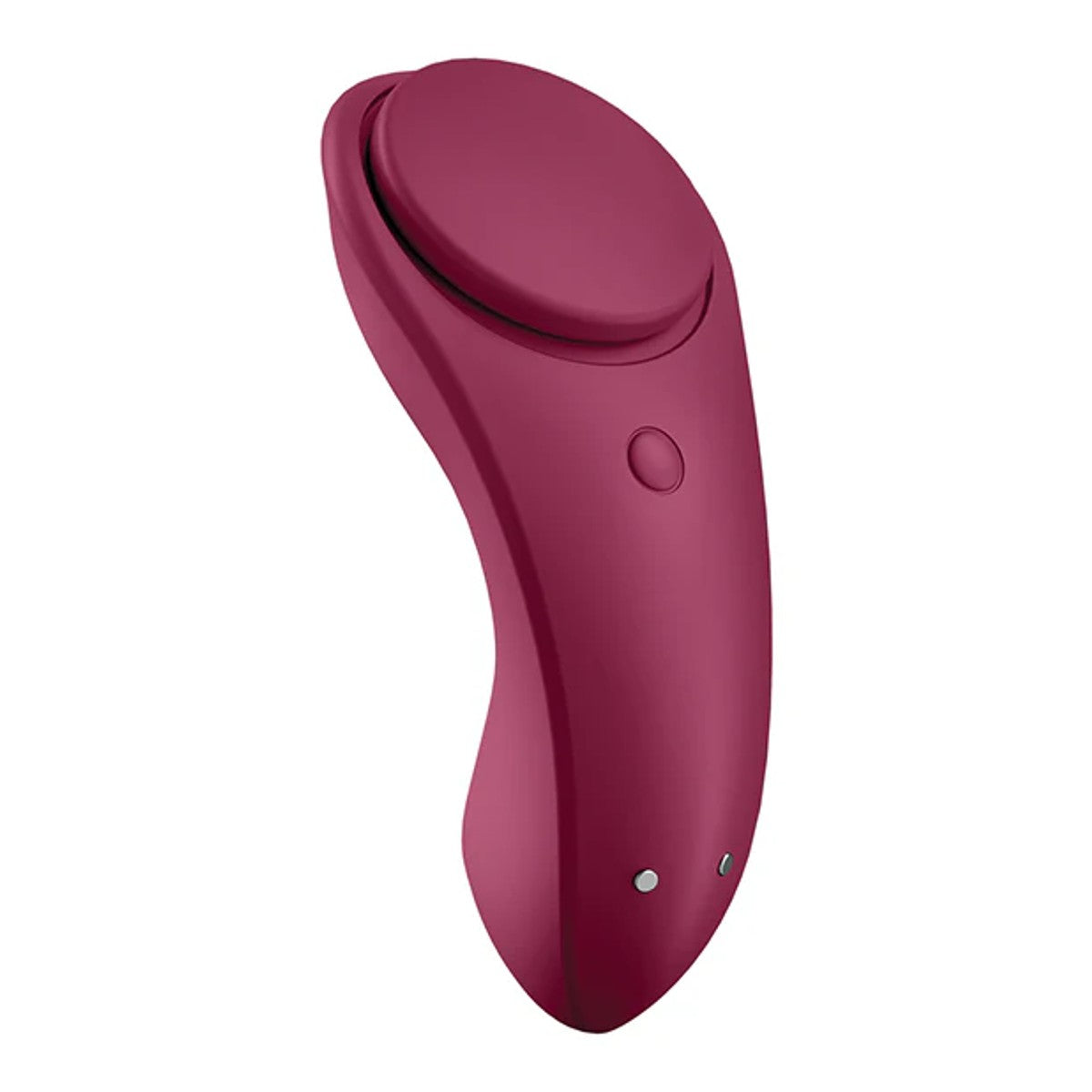 Satisfyer Partner Box 1: Panty Vibe & Double Joy