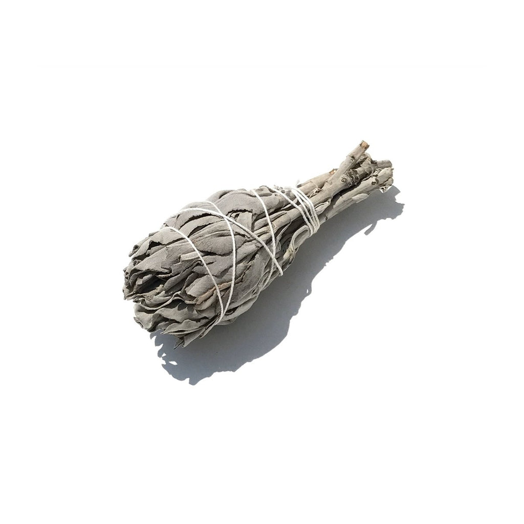 WILD WHITE SAGE - Salvia apiana, or white sacred sage is an evergreen shrub native to the Southwest, widely used by Native Americans in various ceremonies. Some believe that burning sage has many benefits as a spiritual practice.